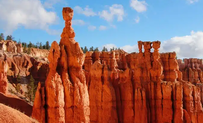 a gold sandstone wall in a wilderness